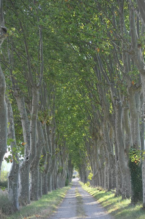 Domaine De Ceyrac Conqueyrac Exterior foto